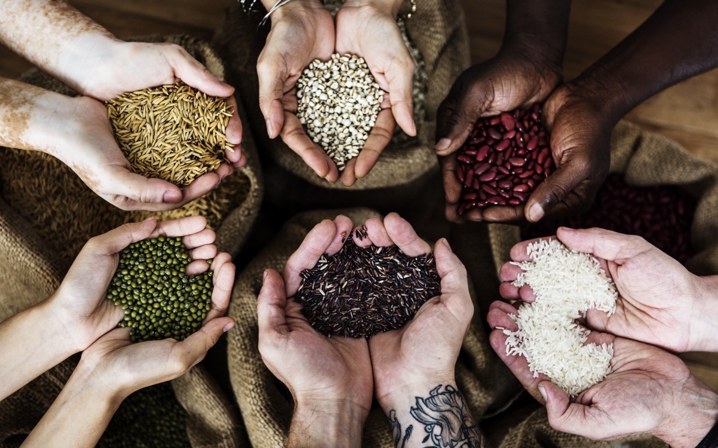Six pairs of hands holding paddy, rice, pulses and beans above hessian sacks